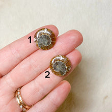 Load image into Gallery viewer, Custom Ammonite Snail Pendant (read description)